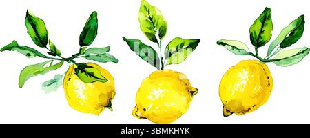 Bright and fresh vector illustration of three ripe yellow lemons with vibrant green leaves. Perfect for food packaging, summer designs, kitchen decor Stock Vector
