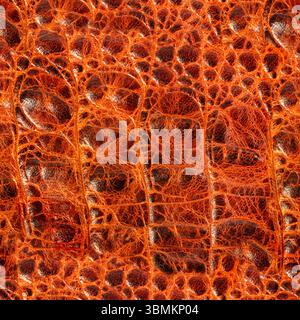 Seamless 4k photo texture material of embossed orange and brown colored reptile, snake or dragon soft leather surface. Stock Photo