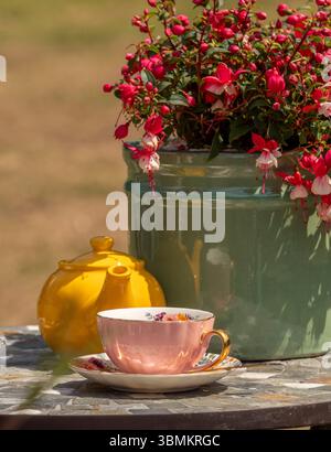 A pink and gold vintage teacup with a bright yellow teapot on a mosaic table beside a pot of flowering fuchsia, basking in summer sunshine. Stock Photo