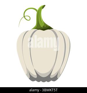 Autumn vegetables illustration. White pumpkin isolated on white background. Simple flat vector Stock Vector