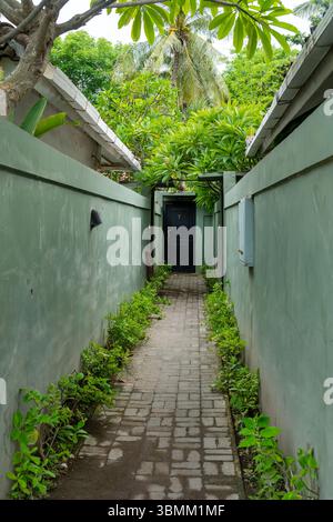Narrow walkway with a black door and green walls. The walkway is lined with plants and has a brick floor Stock Photo