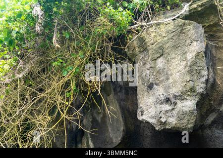 Rock is sitting on a ledge next to some green plants. The rock is large and has a rough texture. The scene has a natural and peaceful feel to it Stock Photo
