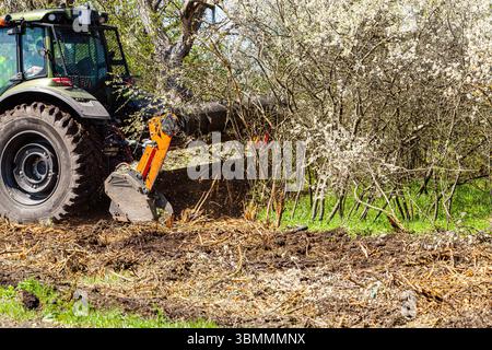 Attached to excavator forestry mulcher for clearing trees and brush ...