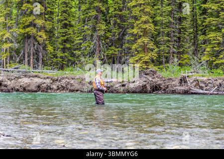 A Fly fisherman wearing a fishermans vest, plaid shirt and hipwaders fishing in the middle of a teal green stream with the forest in the background. Stock Photo