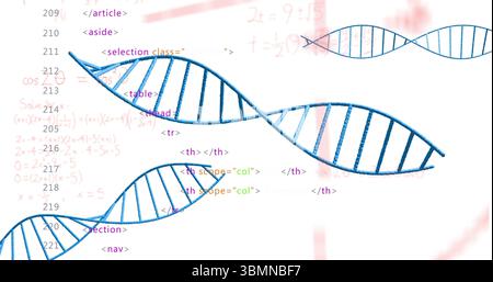 Displaying stylized blue DNA helices winding across white canvas, showing code and math equations Stock Photo