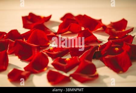 Scattered red rose petals on table Stock Photo