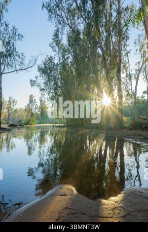 Reflection Image Bright View through pandanus trees and hanging roots to a white sand beach and ...