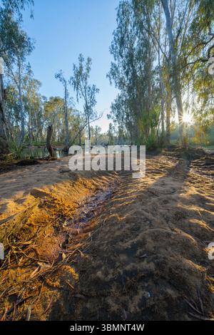 Reflection Image Bright View through pandanus trees and hanging roots to a white sand beach and ...