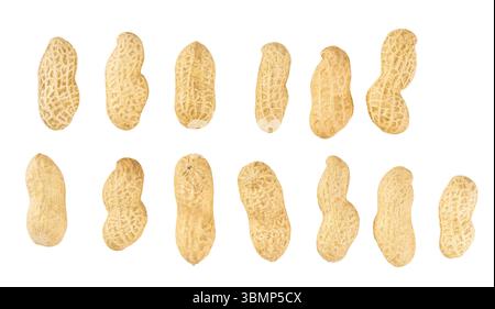 different shapes shelled peanuts  isolated on white background. peanuts beans in shell isolated on white background. Stock Photo