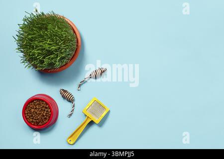 Flat lay composition with accessories for a cat, such as high quality dry food in a bowl, funny toys as mouses, green grass, yellow brush on a blue ba Stock Photo