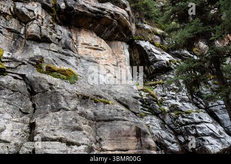 Closeup of weathered rocky cliff with moss and plants Stock Photo