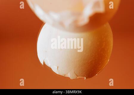 Detail of white chicken egg shell against mirror , abstract background Stock Photo