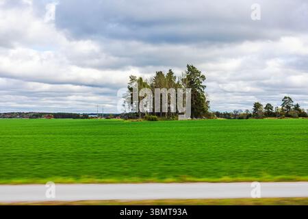 View from car window of small forest island on green field, blurred foreground due to motion. Sweden. Stock Photo