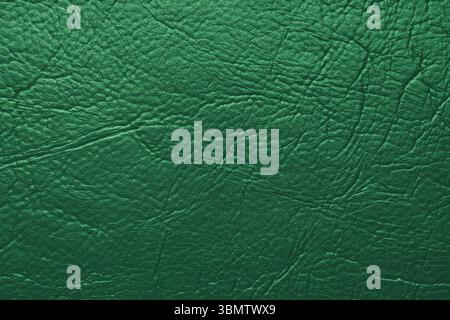 Close up, macro texture of green glossy natural genuine leather, leatherette structure, artifical skin surface with embossed pattern. Background, wall Stock Photo