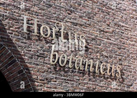 A close-up of the "Hortus botanicus" sign, crafted in bronze letters, contrasting beautifully against a textured brick wall, inviting visitors to the Stock Photo