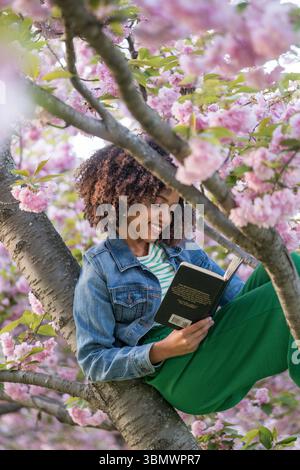 A young African American woman with naturally curly hair reads a book up in a cherry tree. Stock Photo