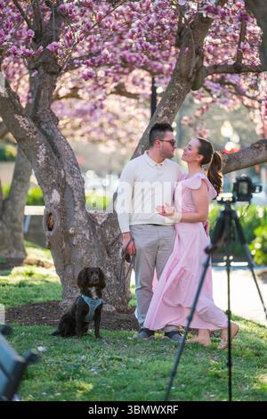 A young couple takes photos of themselves amid the blooming magnolia trees in Rawlins Park, Washington, D.C. Stock Photo