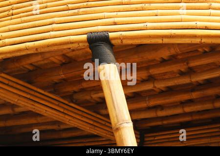 Making Rope From Bamboo Traditional bamboo structure jointing method with natural fibre rope ...