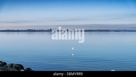 A calm lake reflecting a clear blue sky with a single seagull flying near the water's surface, radiating tranquility and natural beauty. The landscape Stock Photo