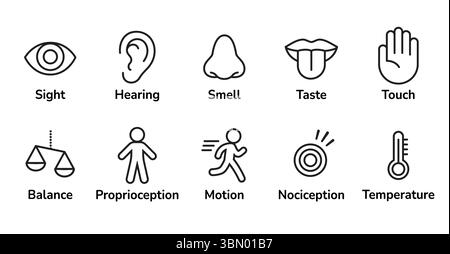Icon set of human senses of perception. Sight, smell, hearing, touch, taste and sense of balance, temperature, body and pain. Simple, minimal line ico Stock Vector