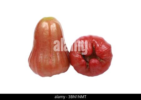 It is Two rose apples isolated on white. Stock Photo