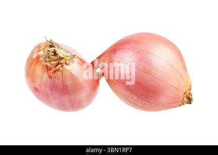 it is two shallots isolated on white. Stock Photo
