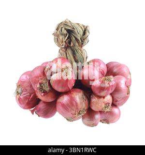 it is bunch of shallots isolated on white. Stock Photo