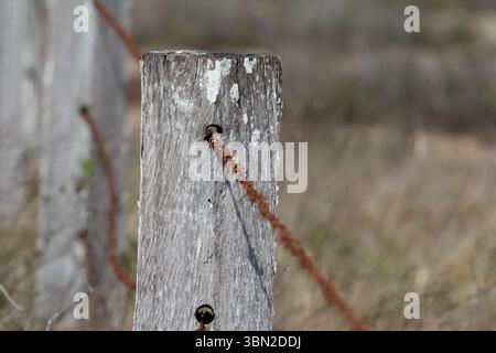 Fence post with barbed wire in the countryside Stock Photo