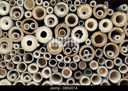 Close up of a bee insect hotel in a garden Stock Photo