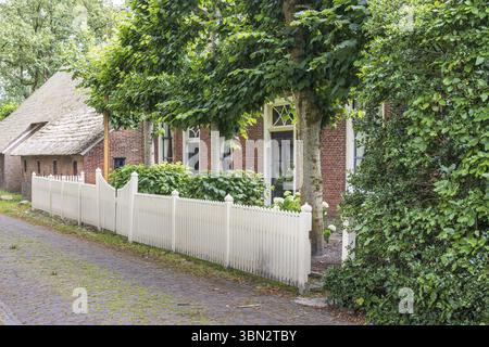 typical dutch houses with straw roofing in the famous village of ...