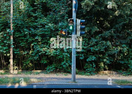 traffic light pedestrian crossing road traffic Stock Photo