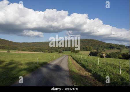 Country road between fields with blue sky and white clouds Stock Photo