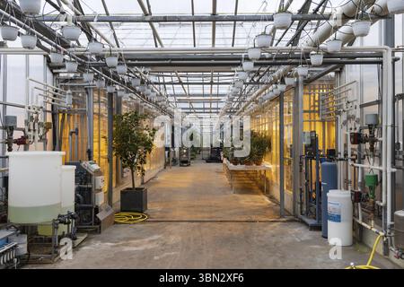 Aarhus, Denmark - November 16, 2022: Green house overview with plants, lights and all kinds of equipment and fluids Stock Photo
