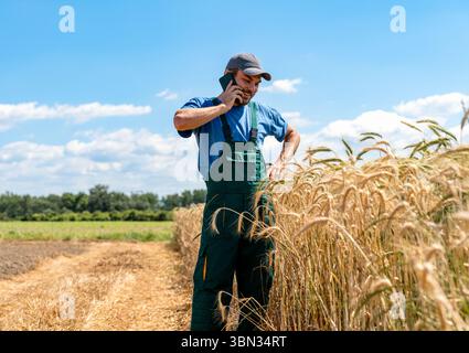 Male farm worker talking on mobile phone while standing near cereal crop field in countryside Stock Photo