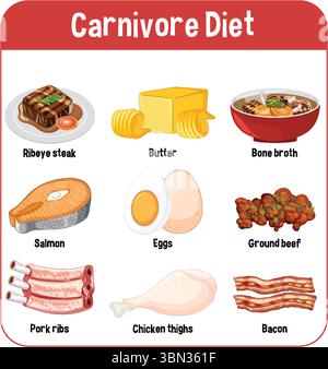 Vector illustration highlighting key foods in a carnivore diet. Includes meats, eggs, and butter with clear labeling Stock Vector