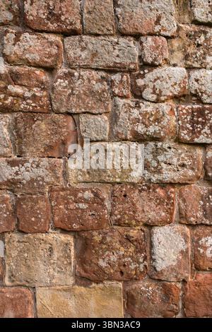 Old medieval weathered sandstone textured wall background backdrop with lichen growing on the surface. Stock Photo