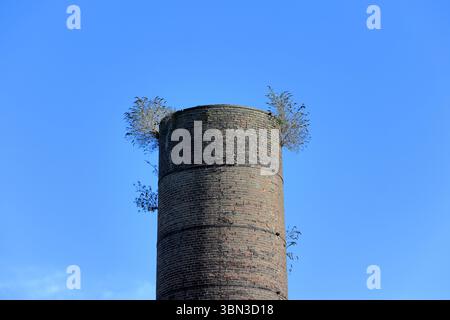 Derelict victorian chimney on the site of the old paper mill in ramsbottom, greater manchester uk Stock Photo