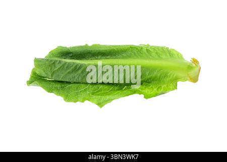 it is fresh organic green cos lettuce or romaine lettuce isolated on white. Stock Photo