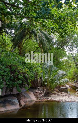 A sandy beach and turquoise water with a small island offshore are seen from Anse Royale viewpoint on Mahe island in Seychelles. Stock Photo