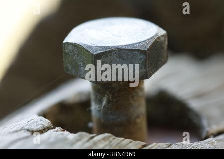 Rusty hex screw head on a wooden log outside, Alcoy, Spain Stock Photo