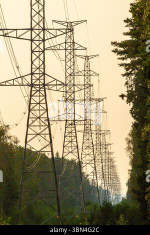 High voltage power line crossing a forest Stock Photo - Alamy