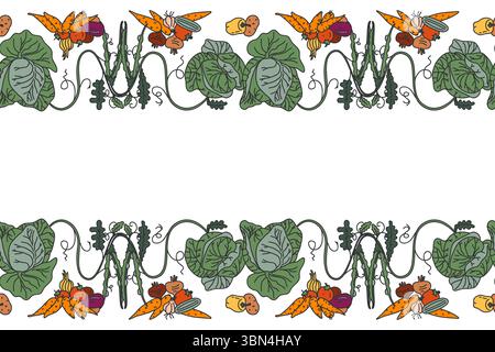 Botanical decorative different vegetables horizontal seamless pattern border isolated on white background. Hand drawn colorful veggies plants with Roo Stock Vector