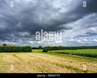 Summer storm clouds gathering over farmland near Westwood in Wiltshire England Stock Photo