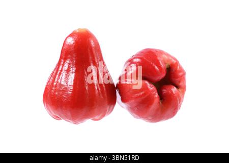 two rose apples isolated on white. Stock Photo