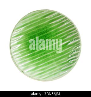 one circle green empty plate isolated on white. Stock Photo