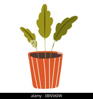 Plant in pot vector illustration. Flat indoor decorative plants in pots for home or office indoor decoration, green garden flower icon collection isol Stock Vector