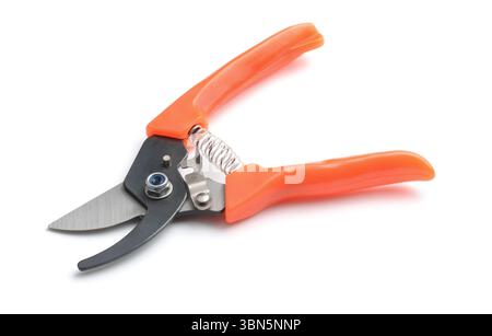 Garden pruners isolated on white Stock Photo