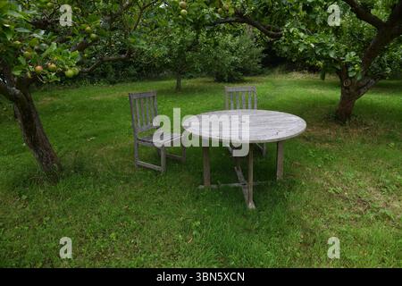 Seating in the orchard Stock Photo