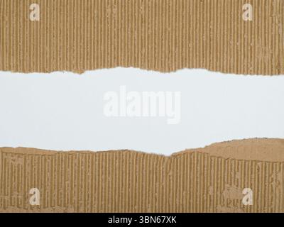 A piece of corrugated cardboard with its center torn away, revealing a plain white background Stock Photo