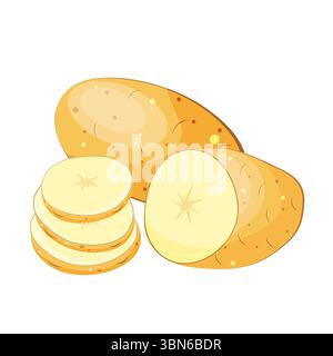 set of potatoes whole in section slices, wedges, slices, isolated on white background. Stock Vector